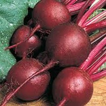 BEETS, RUBY QUEEN, HEIRLOOM, ORGANIC, 500+ SEEDS, NON GMO, DARK RED N SW... - $8.99