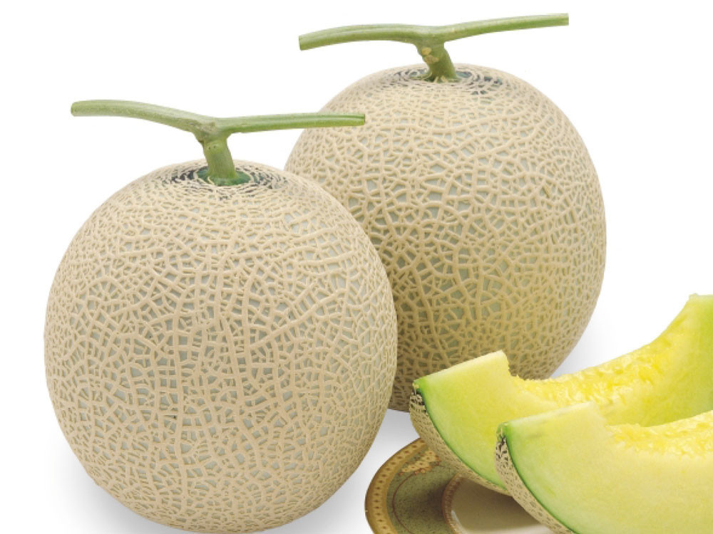 100Pcs Original package super quality Japanese Bimei melon seeds