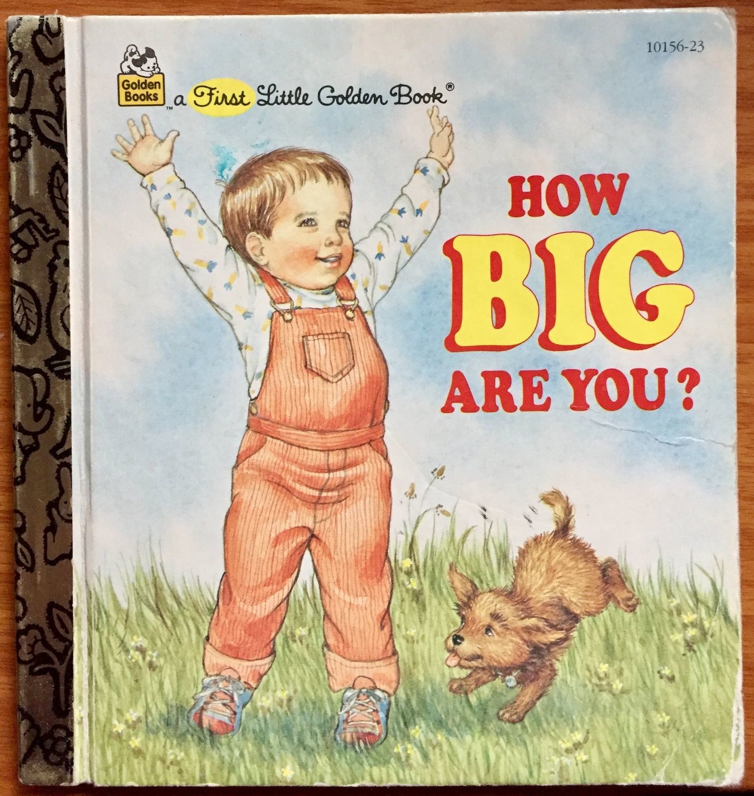 How Big Are You First Little Golden Book 1995