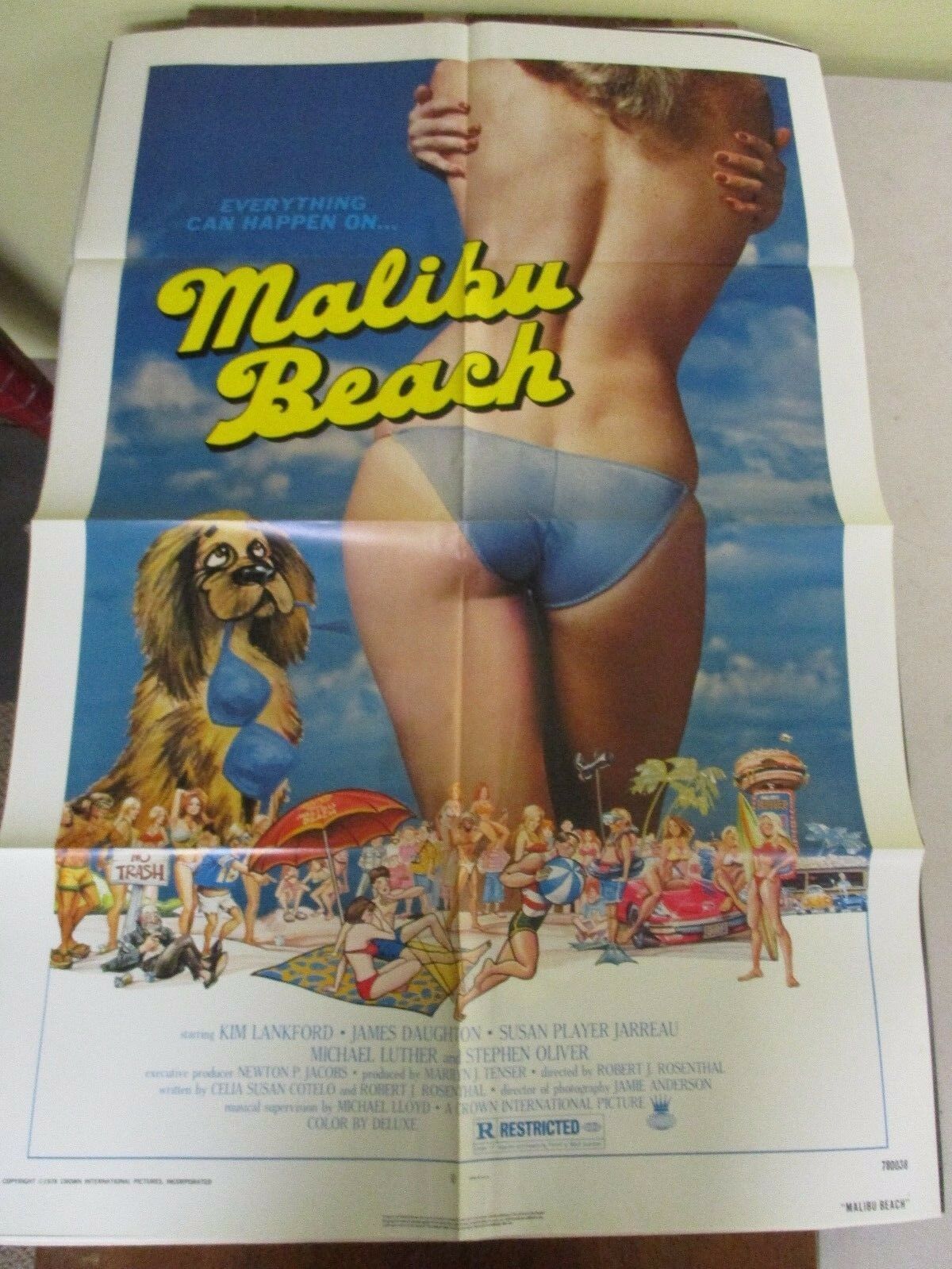 Vintage 1 sheet 27x41 Movie Poster Malibu Beach 1978 Kim Lankford James ...