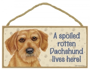 Wood Sign -   61982 - A Spoiled rotten -   Dachshund (Wire hair) Lives Here - $5.95