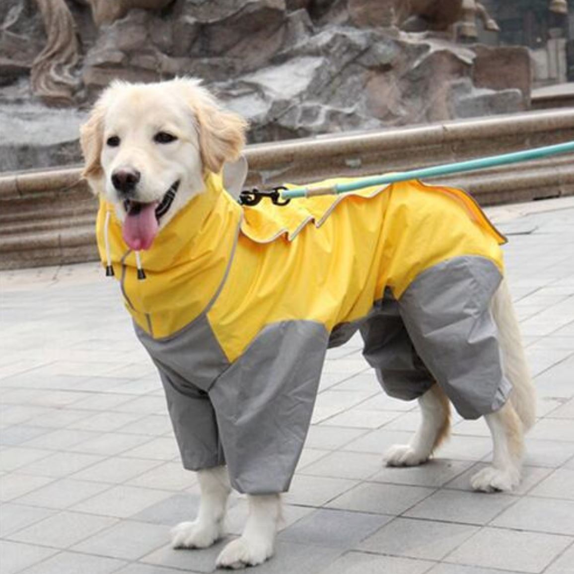 Full Body Raincoat For Dogs