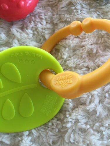 Lot Or 5 Baby Teether Toys Vibrating Strawberry Leaf Nuby Flower ...