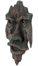 Spirit of Nottingham Woods: Greenman Tree Sculpture (a) - $128.69