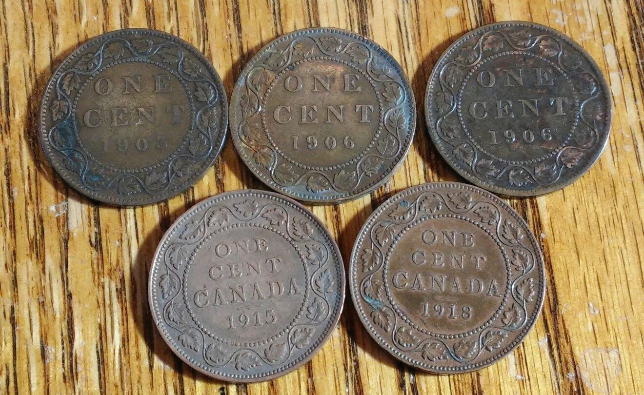 Proof Canada 1966 Beaver Nickel~Proof Coins Are The Mints Best Work~Free Ship