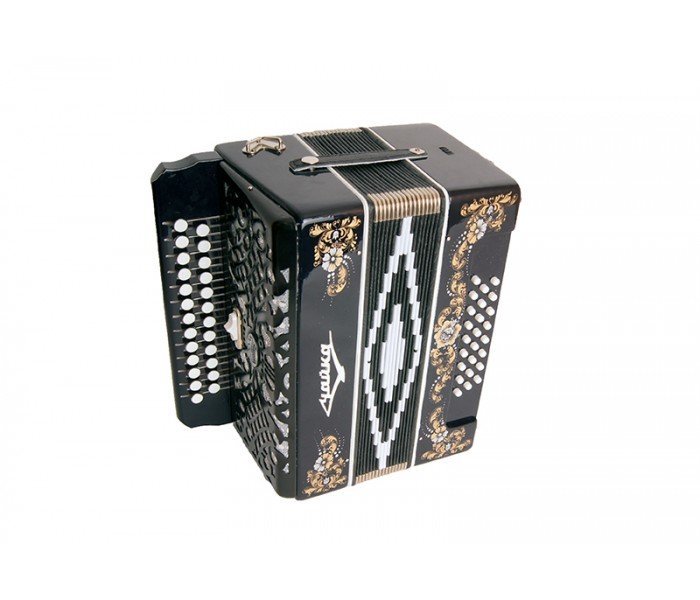 New Russian Accordion "Chayka 314" 25x25III2, ADur (Seagull) Shuya