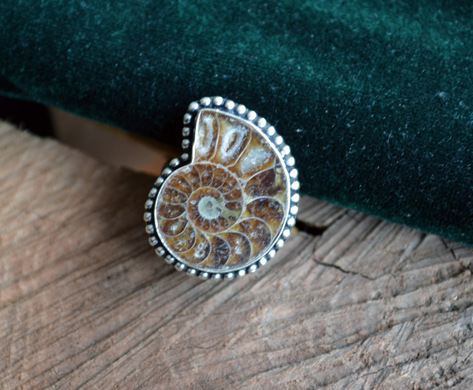 Ammonite fossil ring, Fossil ring, natural fossil ring, large fossil ...