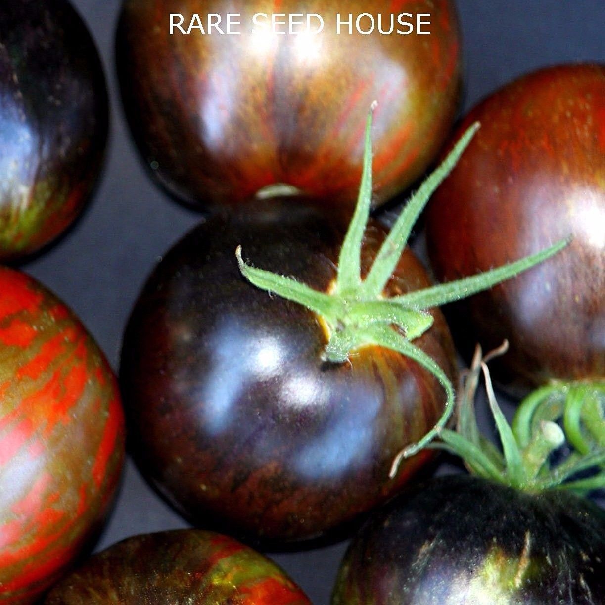 Cosmic Eclipse Tomato Seeds - Comb. S/H - See our store for 800 kinds ...