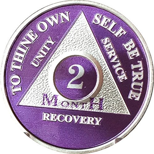 2 Month Purple Silver Plated AA Medallion 60 Day Chip
