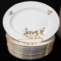 10 Oval Dinner Platters By Johann Haviland Twilight Rose Bavaria Germany 13" X 9 - $100.00