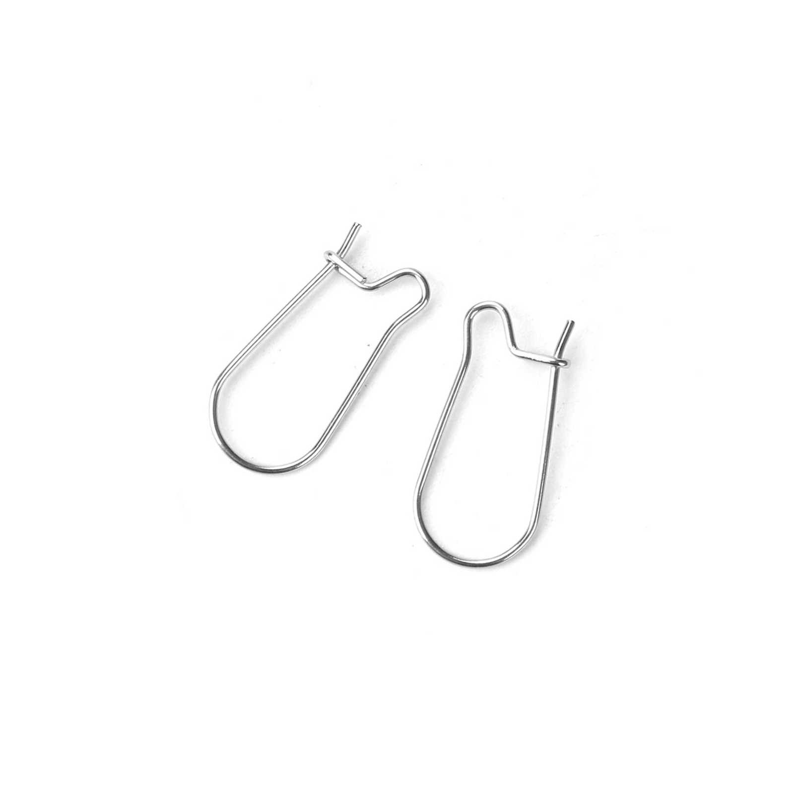 Stainless Steel Kidney Ear Wire Hooks, 48 Pack Earring Findings 3/4 Inch Long
