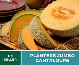 50 Pcs Planter's Jumbo Cantaloupe Melon Heirloom Seeds Non GMO Cucumis melo - $19.23