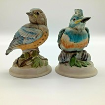 Kelvins Porcelain Birds (2) - $20.00