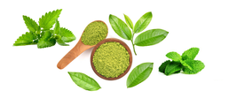 Amber Cleanse, Green Tea Mint, 1 gallon image 2