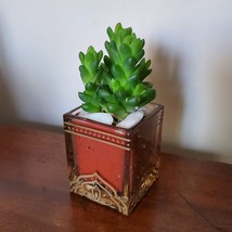 Succulent in Glass Candle Holder, Haworthia Obtusa in Upcycled Planter image 3