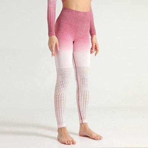 Laser Cut Seamless Set Ombre Gym Crop Top Yoga Leggings Girly Area S Rose Bottom