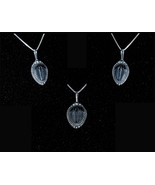 Trilobite, Pendant, Sterling Silver, Fossil, Trilobite, Necklace, Silver... - $90.00