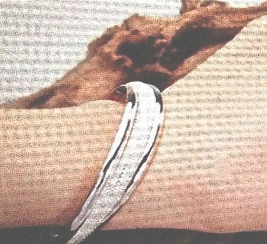 BJB0222 Bracelet Argent Et Laiton Plaqué Or 18 Carats Gold Plated Neuf New