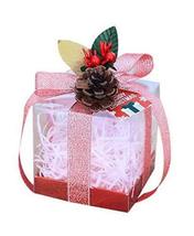 10 Pcs Christmas Apple Boxes Transparent Candy Gift Boxes Pink Ribbon + ... - $28.00