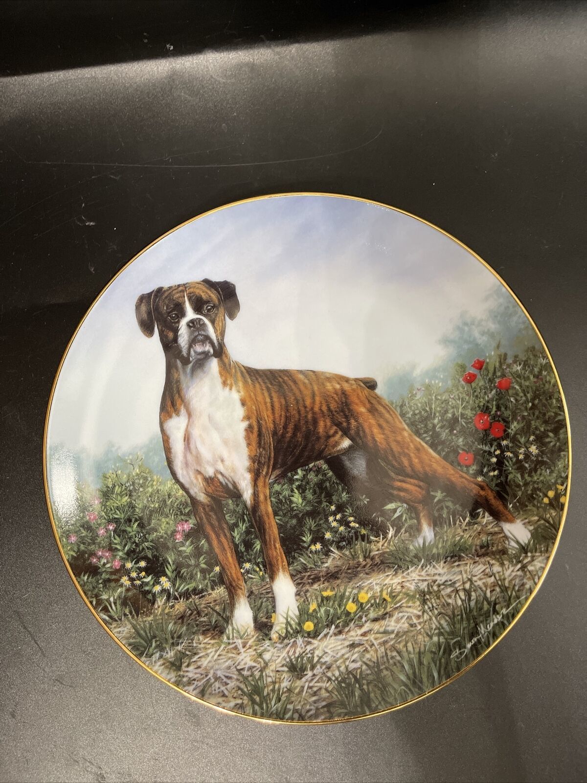 Standing Proud Boxers Collector Plate Simon Mendez Danbury Mint Limited ...