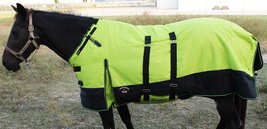 1200D Turnout Waterproof Horse WINTER BLANKET HEAVY Belly Band 575B - $84.50