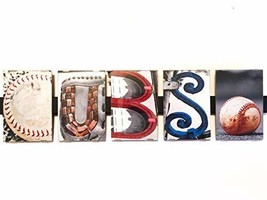 CUBS Framed Photograph Word Letter Art Alphabet Creative Home Decor Office Gift - $50.00