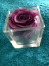 Infinity Flower In Small Glass Holder Approx 2" has - $36.99