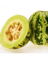 Color Muskmelon Fragrant Crisp Melon Organic Seeds, 1 Original Pack, Ver... - $10.96