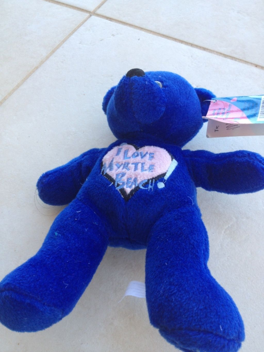 dark blue teddy