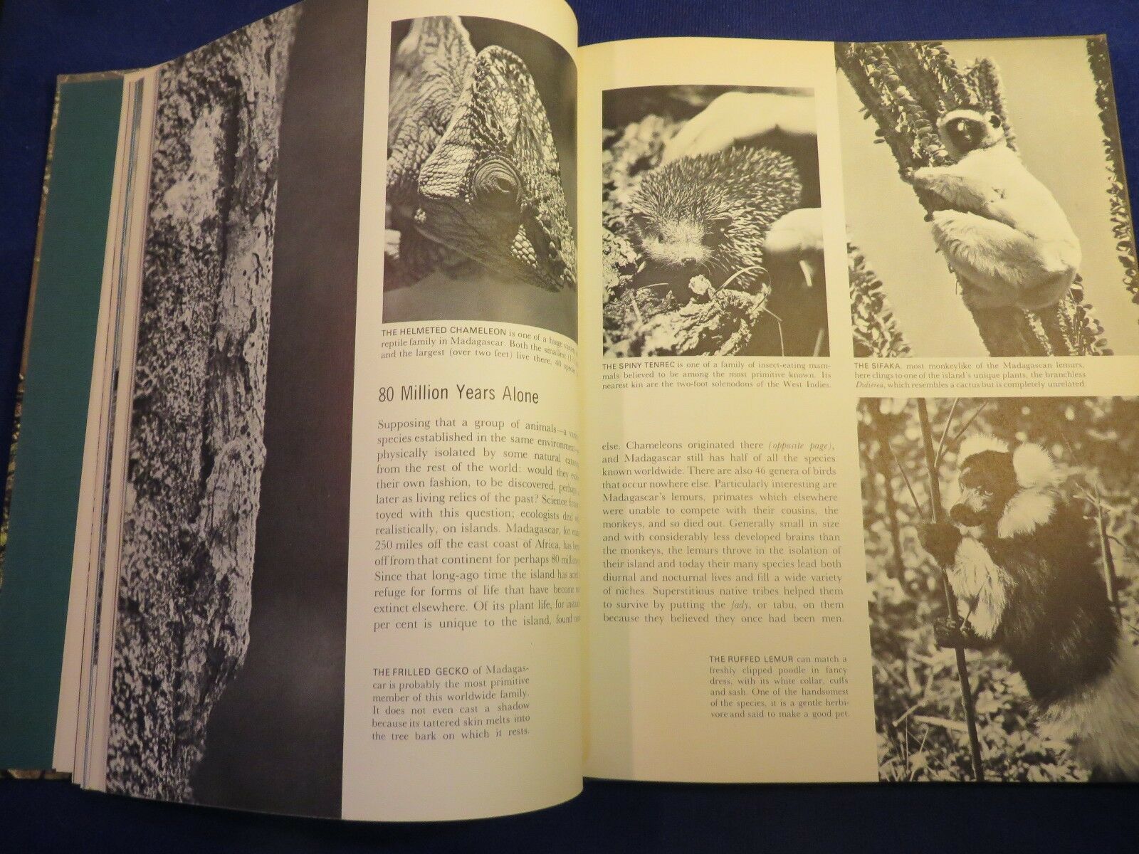 1963 LIFE Nature Library ECOLOGY Hardcover Book by TIME Inc. - Other Books