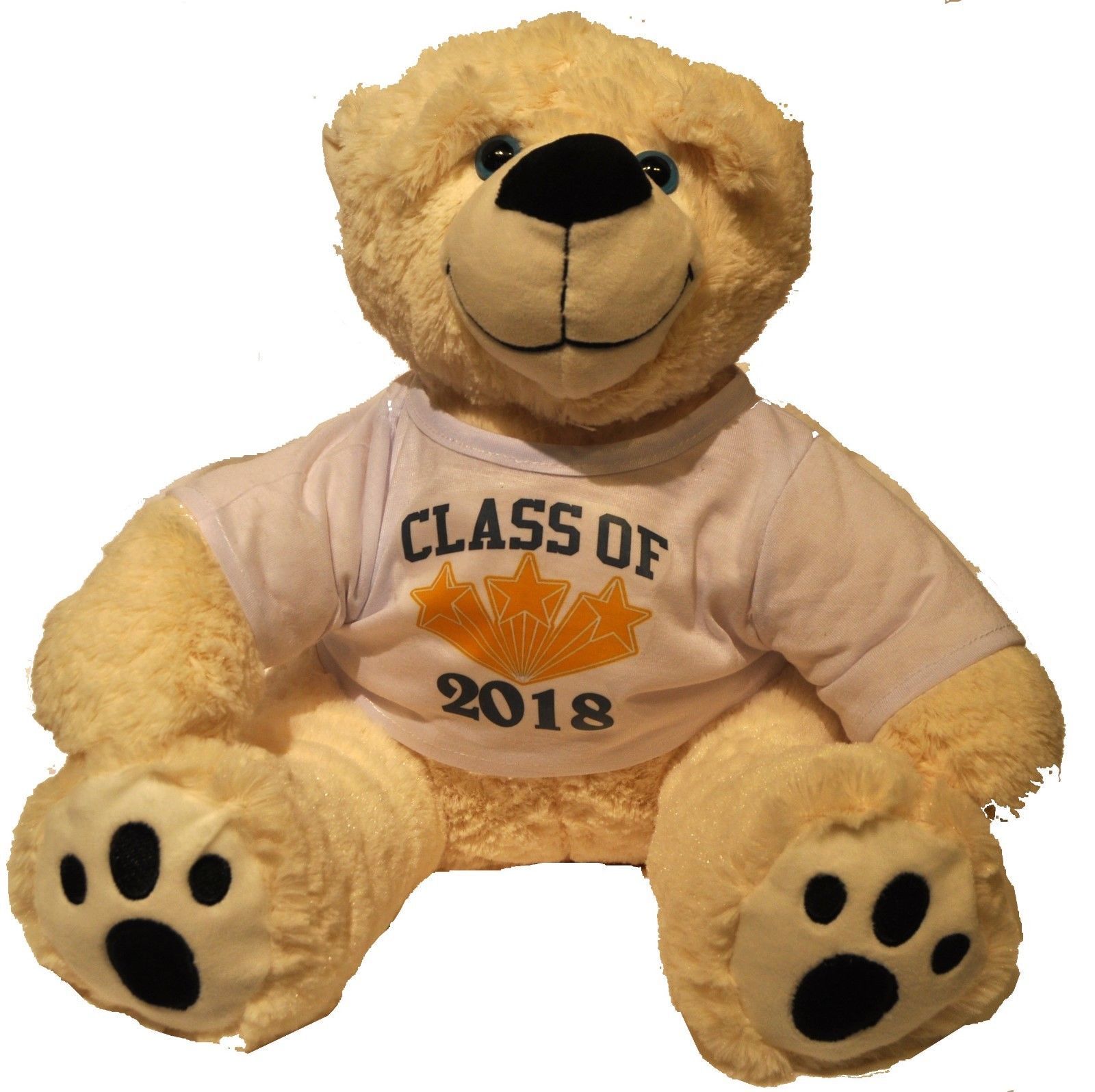 2020 graduation teddy bear