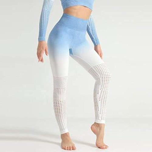 Laser Cut Seamless Set Ombre Gym Crop Top Yoga Leggings Girly Area S Blue Bottom