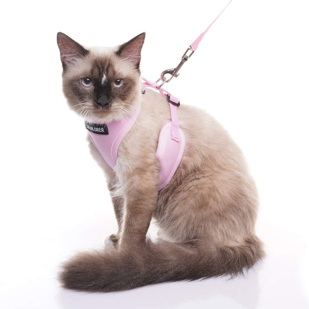 EXPAWLORER Escape Proof Cat Harness with Leash - Best Cat Safety ...