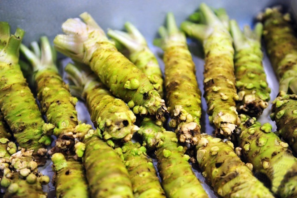 200Seeds, Wasabi Seeds, Japanese Horseradish Seed, Delicious Vegetable