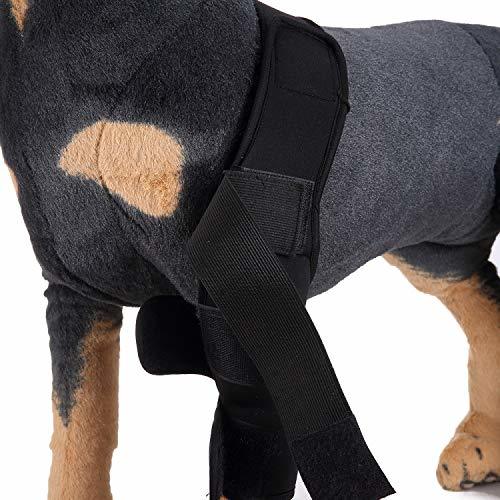 ZEEY Dog Elbow Protector Sleeve Dog Canine Front Leg Brace Hock Joint ...