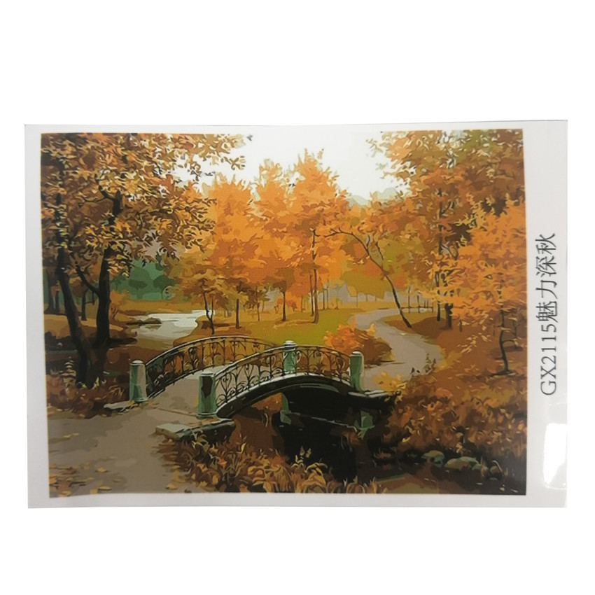 Provence Paintworks DIY Oil Painting Paint by Number Kits for Adults