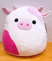 Squishmallows 2022 Valentines Squad 16 Caedyn the Pink Cow Plush Doll Toy - $77.99