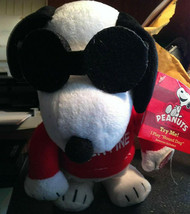 Peanuts Snoopy Joe Cool Valentine Animated Dancing MUSICAL Toy Plush "Hound Dog" - $33.30