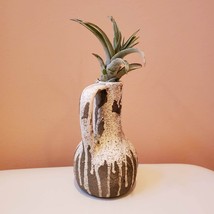 Airplant Vase, Ceramic Vase with Live Air Plant, Tillandsia Decor Gift image 5