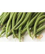 &quot;COOL BEANS n SPROUTS&quot; Brand, Top Crop Bean Seeds. 8 Ounce A Garden Favo... - $7.18