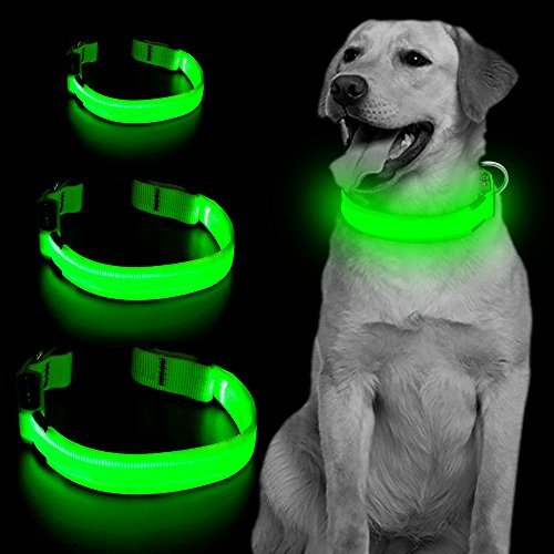 Vizpet Led Dog Collar, USB Rechargeable Blinking Safety Pet Collar