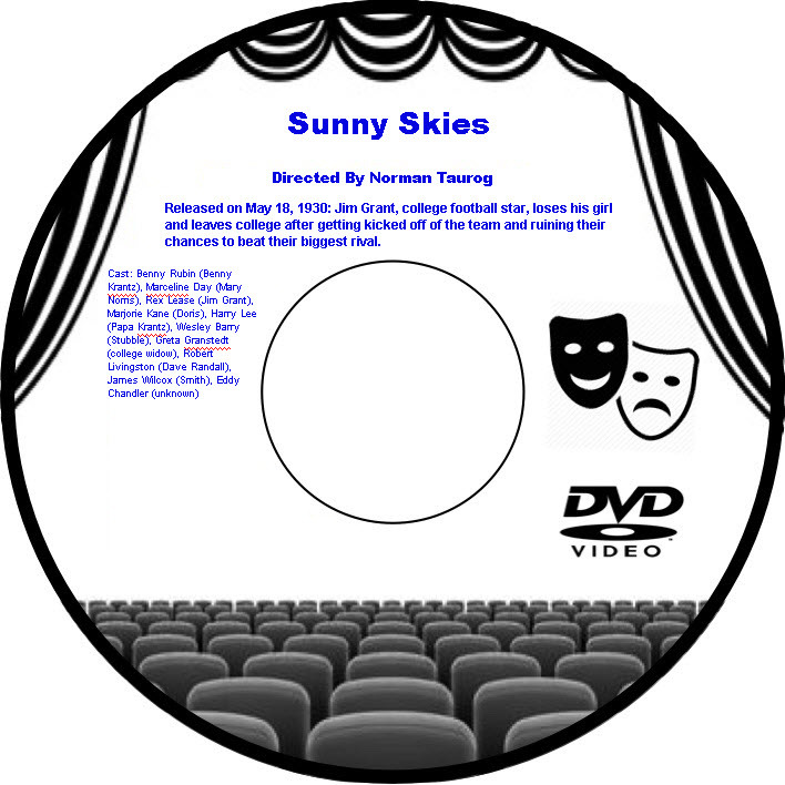 Primary image for Sunny Skies 1930 DVD Movie Comedy Benny Rubin Marceline Day Rex Lease Marjorie K