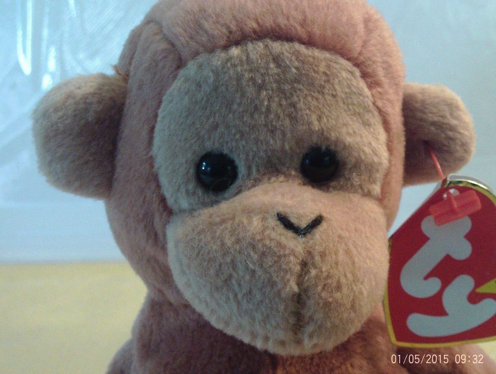 bongo beanie baby errors