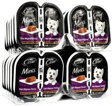 24 Count Cesar 1.32 Oz Minis Filet Mignon Flavor Tender Loaf In Sauce Dog Food