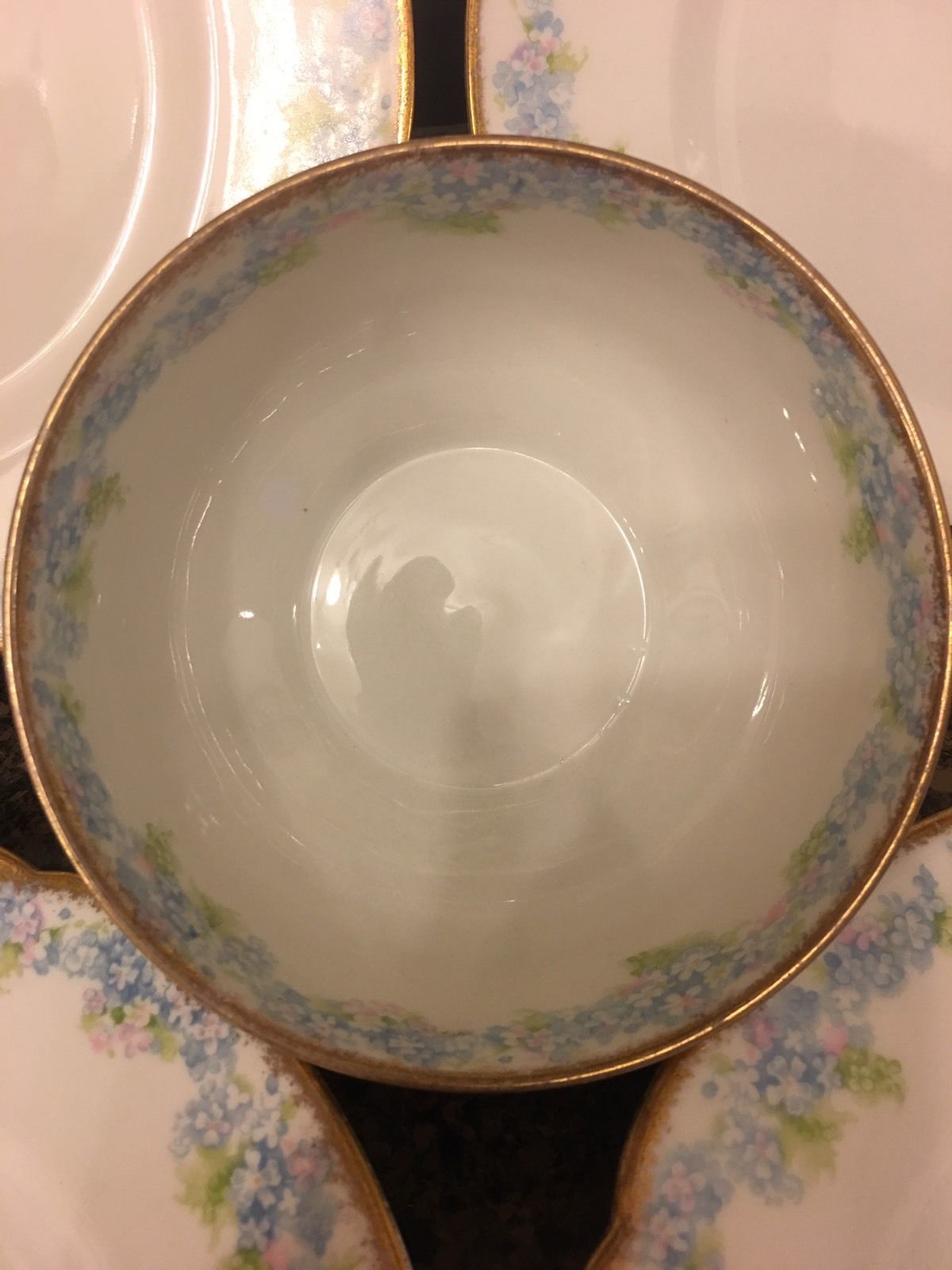 Rare Haviland Limoges Blue Flowers plates(10) and bowl (1) Limoges