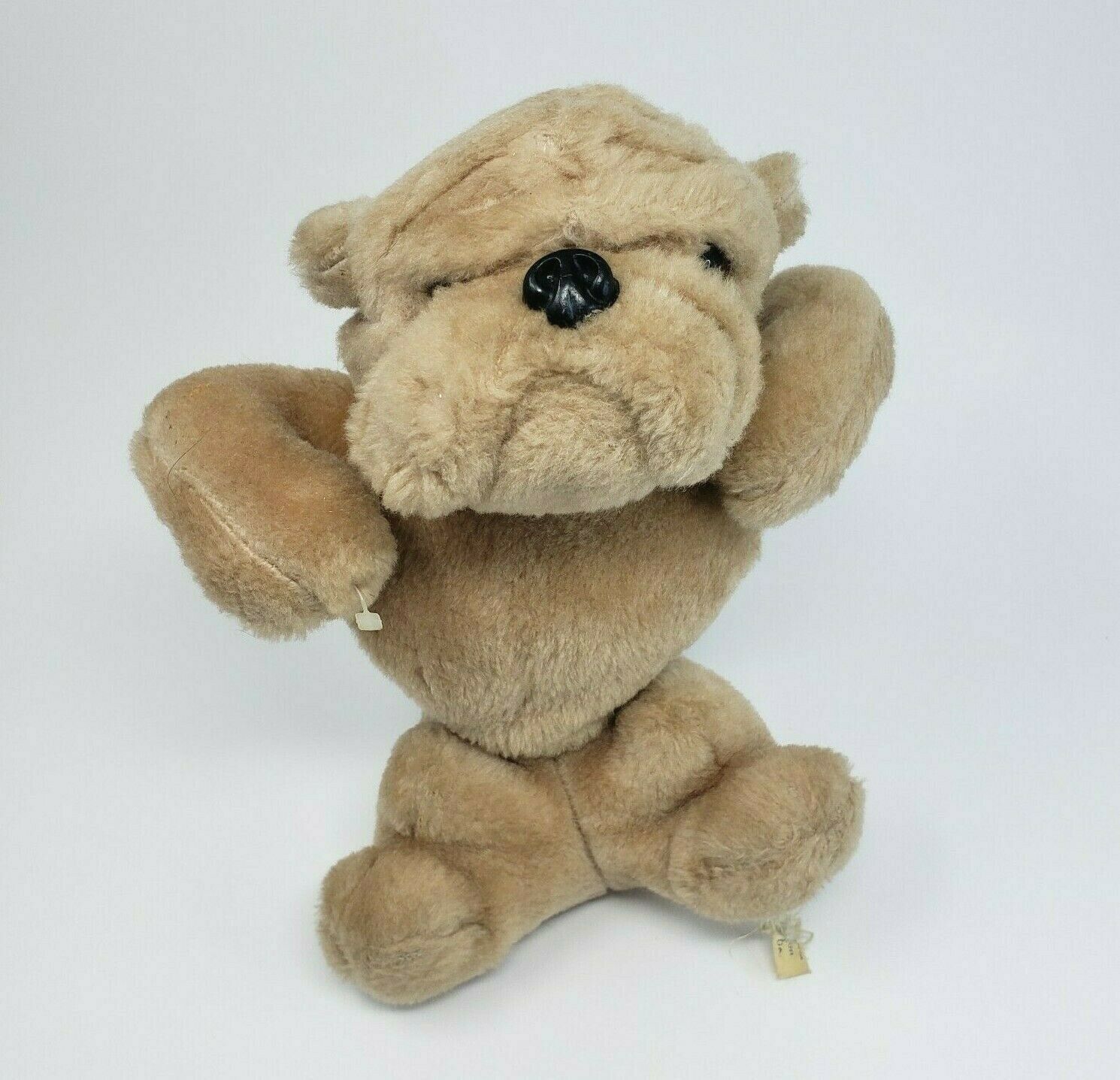 teddy brown bulldog