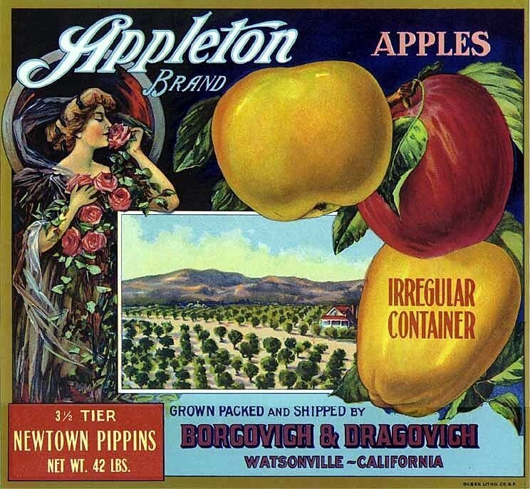 1910 Watsonville California Appleton  Apple Fruit Crate Label Art Print