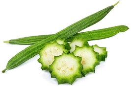 Gourd Luffa / Loofah Angled Ridged Chinese Okra Non GMO Asian Vegetable 10 Seeds - $2.47