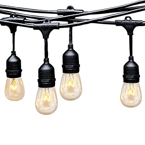 Ashialight 12 Volt Outdoor String Lights with Hanging Sockets Low Voltage,12 V Corner Lights