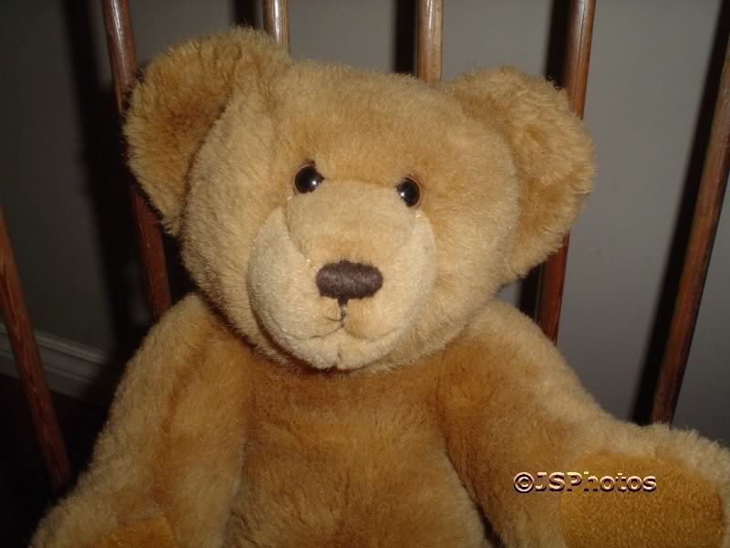 us teddy bear